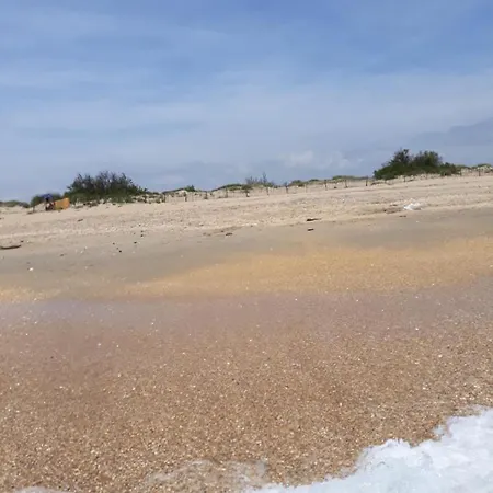 Le Bora-bora Lejlighed Marseillan (Herault)