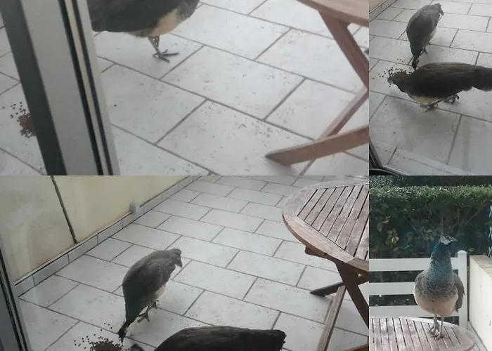 Le Bora-bora * Marseillan (Herault)